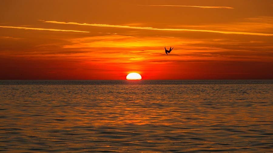 Amrum Urlaub in der Nordsee